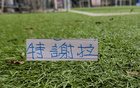 申花10号特谢拉从2023赛季以来 是球队效力最长外援 明年还能见吗？
