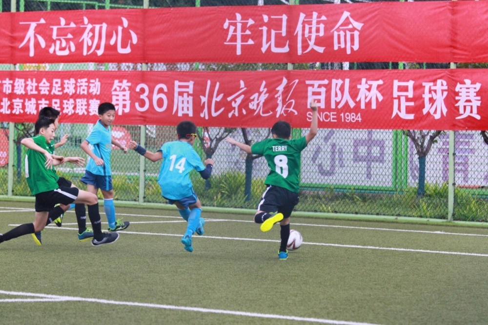 意大利VS比利时直播_意大利VS比利时低延迟流畅直播_意大利VS比利时直播数据实时更新